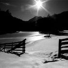 Walchsee im Gegenlicht