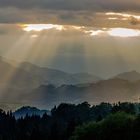 Walchsee Miesberg Blick Richtung Kufstein