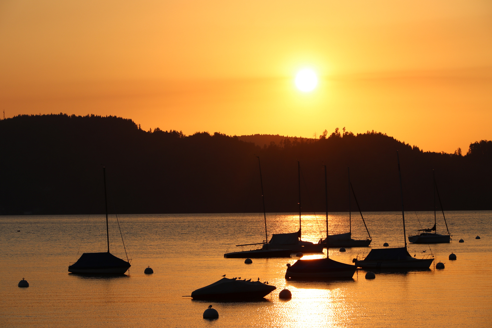 Walchwil_1441 Foto & Bild europe, schweiz & liechtenstein, kt. zug