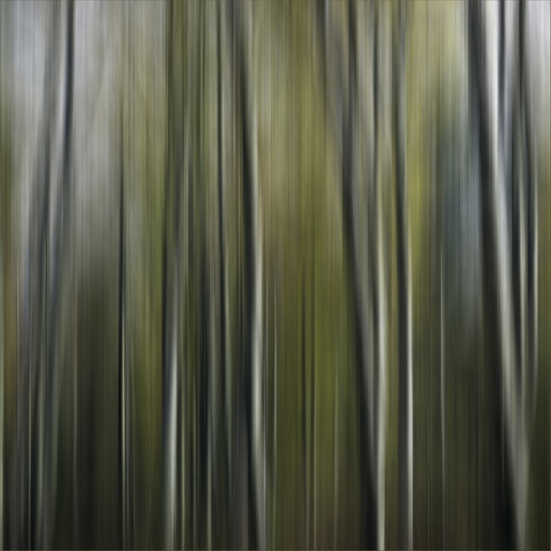 Wald 2