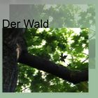 Wald