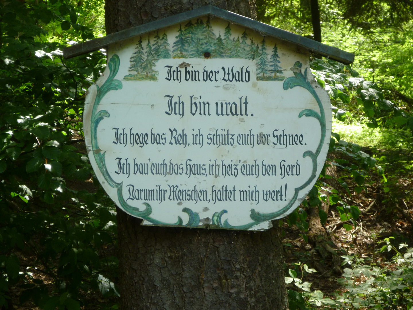 *** Wald ***