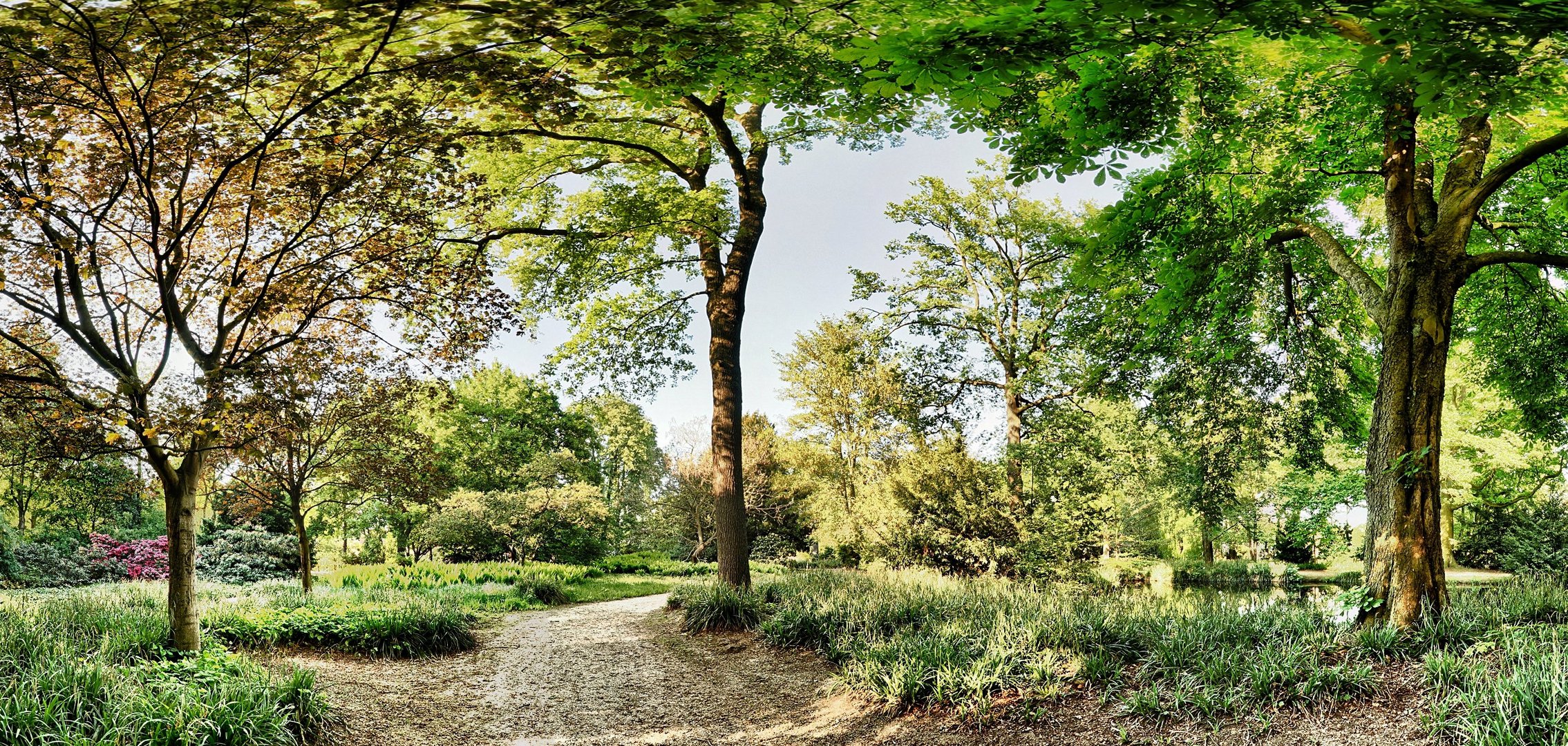 Wald am Aasee in Bocholt