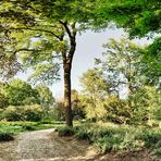 Wald am Aasee in Bocholt