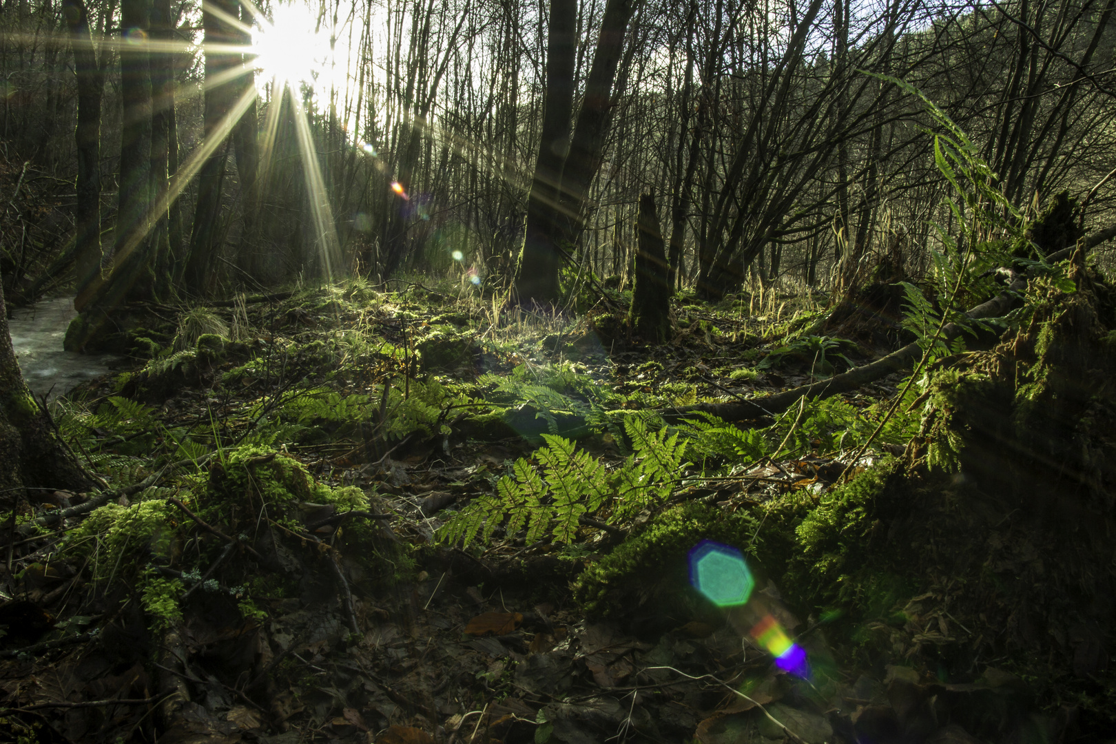 Wald am Altbach