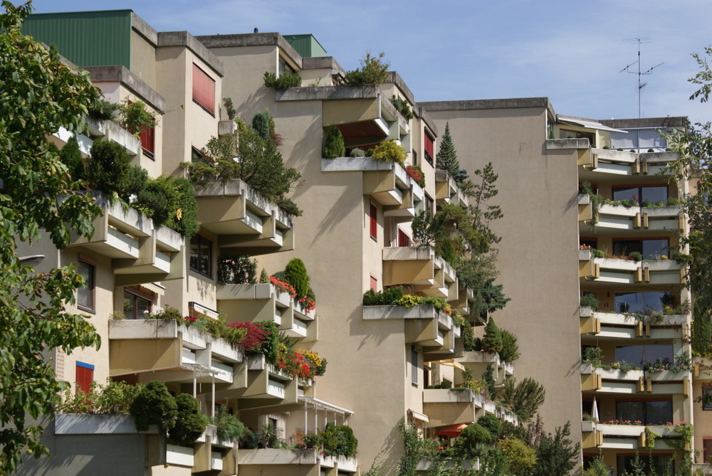 Wald am Balkon *g*