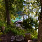 Wald am Eibsee