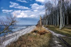 - Wald am Meer -