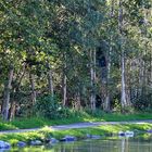 Wald am See