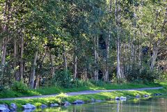 Wald am See