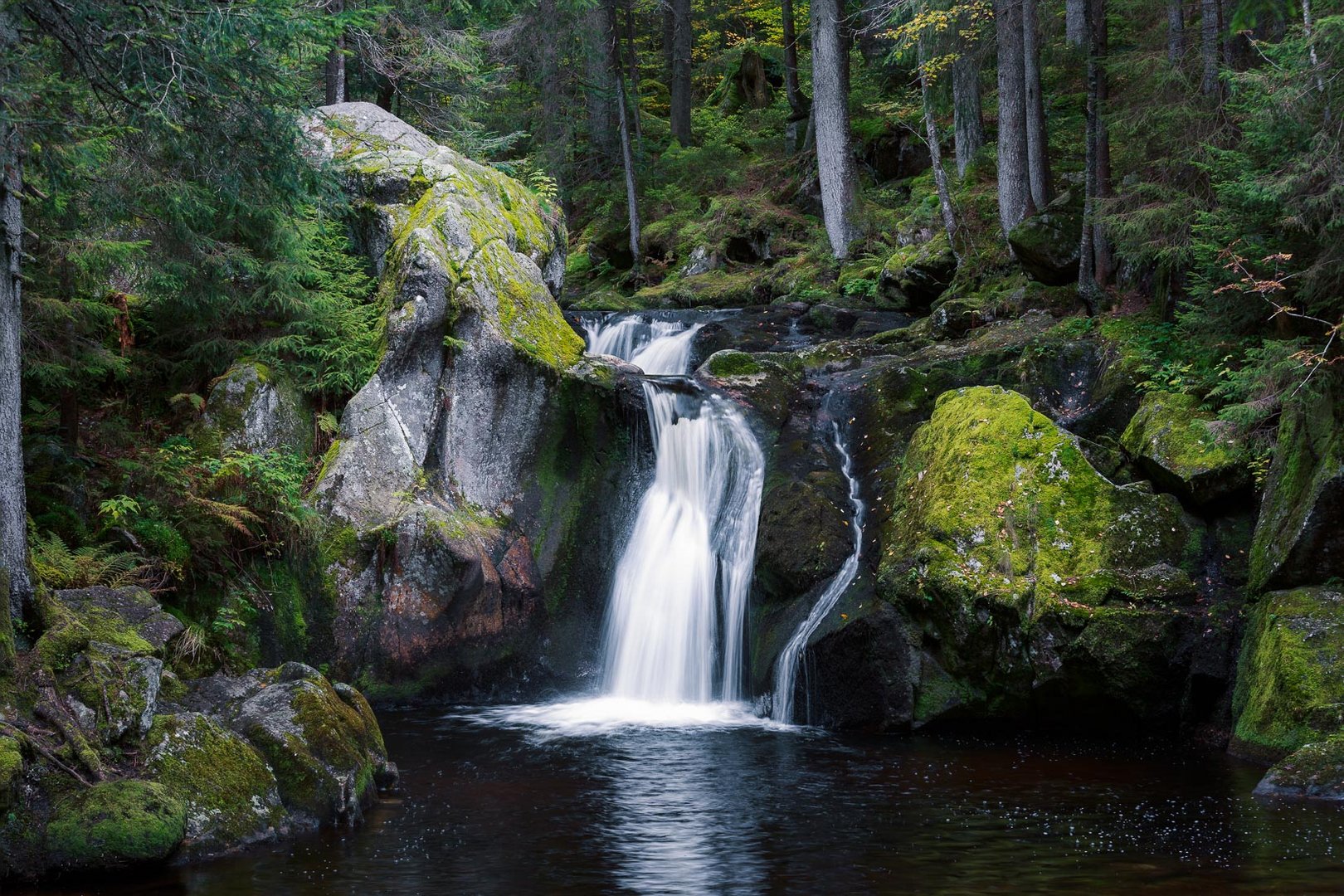 ~~ Wald am Wasser ~~