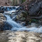 Wald-Bächlein