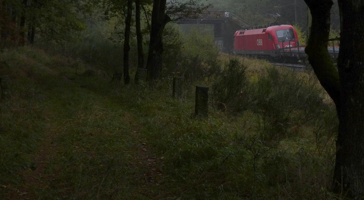 Wald-Bahn