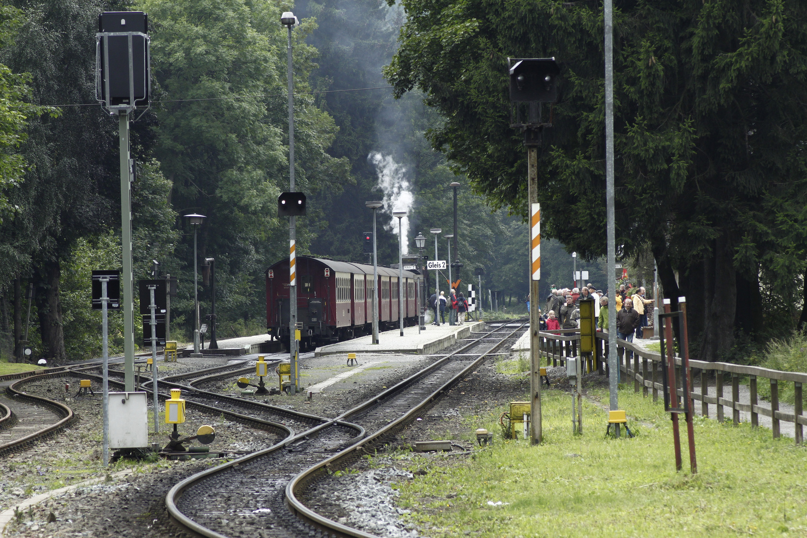 Wald-Bahnhof (Harz)