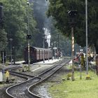 Wald-Bahnhof (Harz)