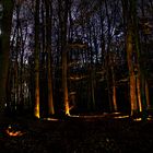 Wald bei Nacht