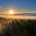 Wald bei Sonnenaufgang