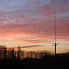 wald bei sonnenuntergang