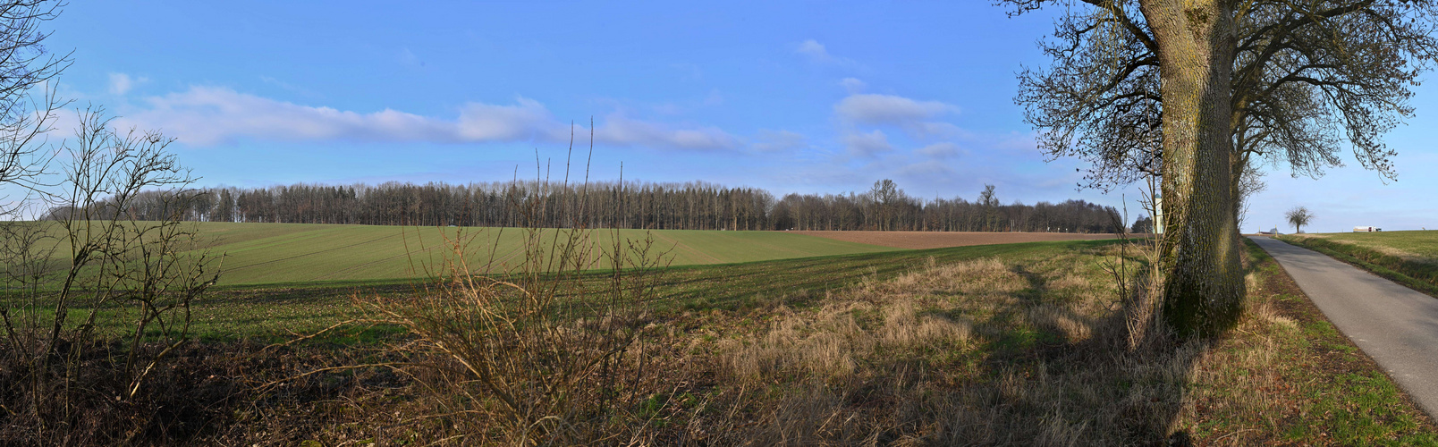 Wald beim Edelmannshof