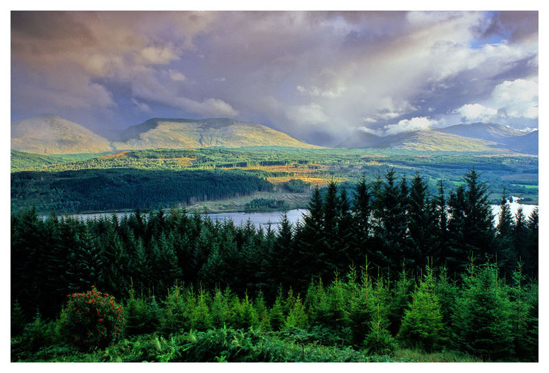 Wald & Berge