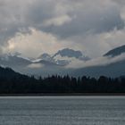 Wald, Berge, Wolken      DSC_0751