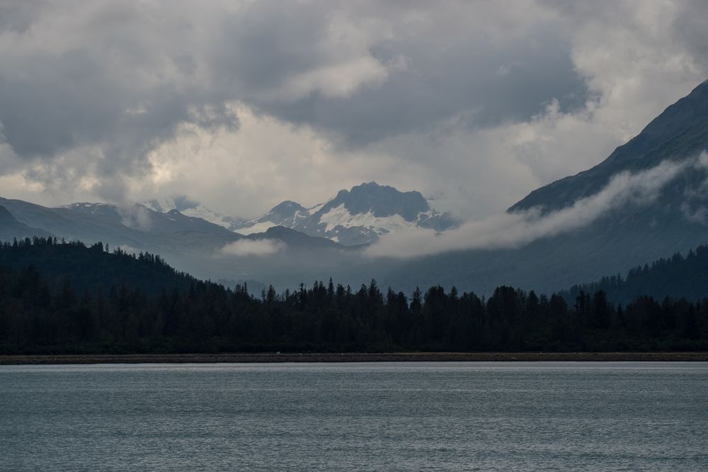 Wald, Berge, Wolken      DSC_0751