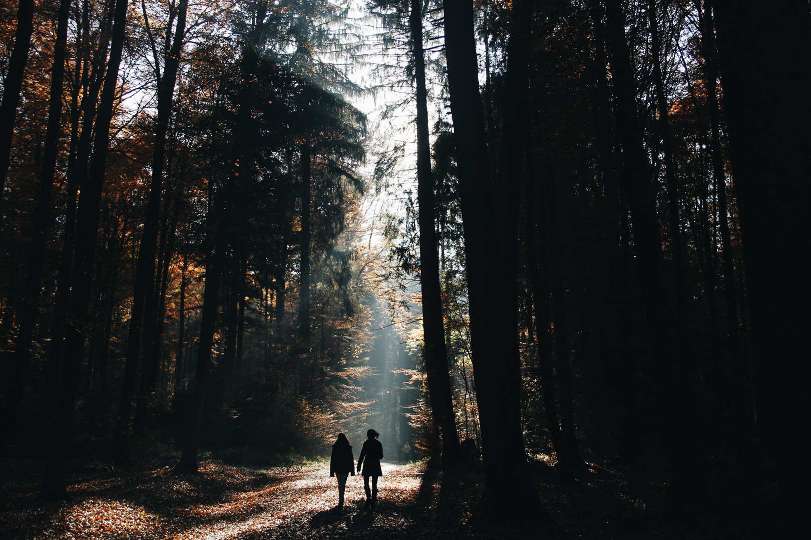 Wald-Bern