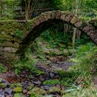 Wald Brücke