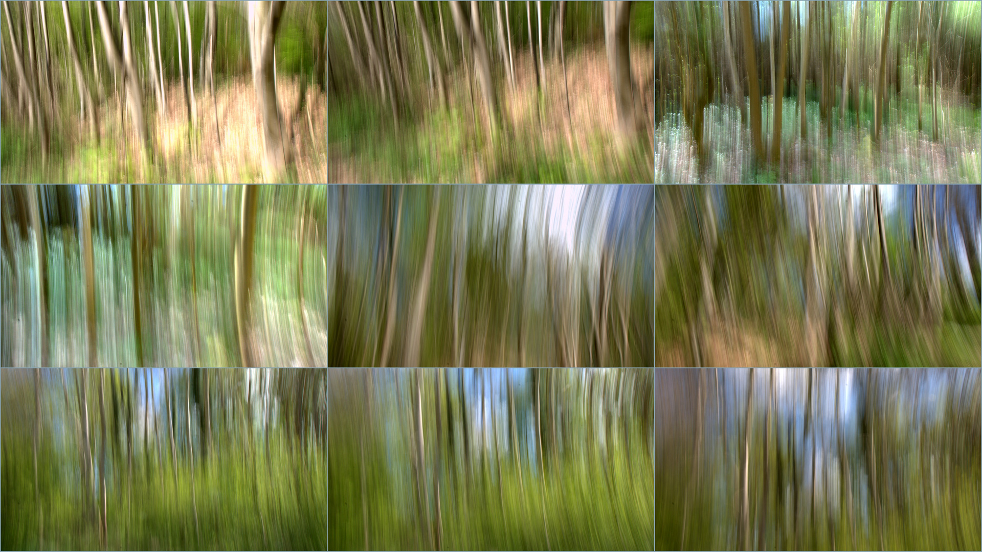 Wald-Collage 2