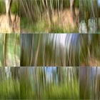 Wald-Collage 2