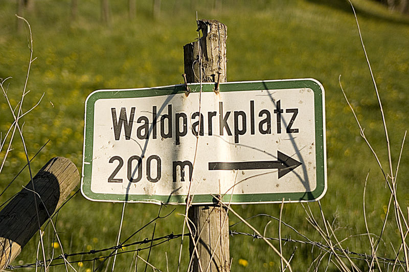 Wald? Da lang!