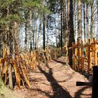 Wald der Erinnerung