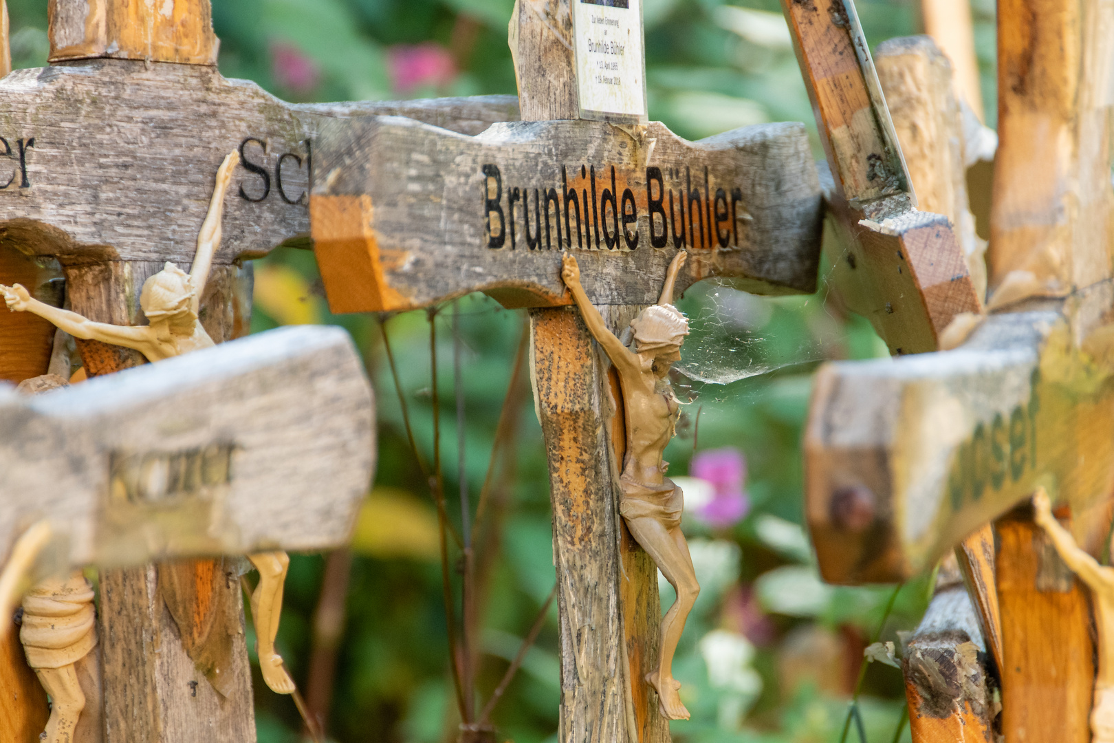 Wald  der Kreuz 1