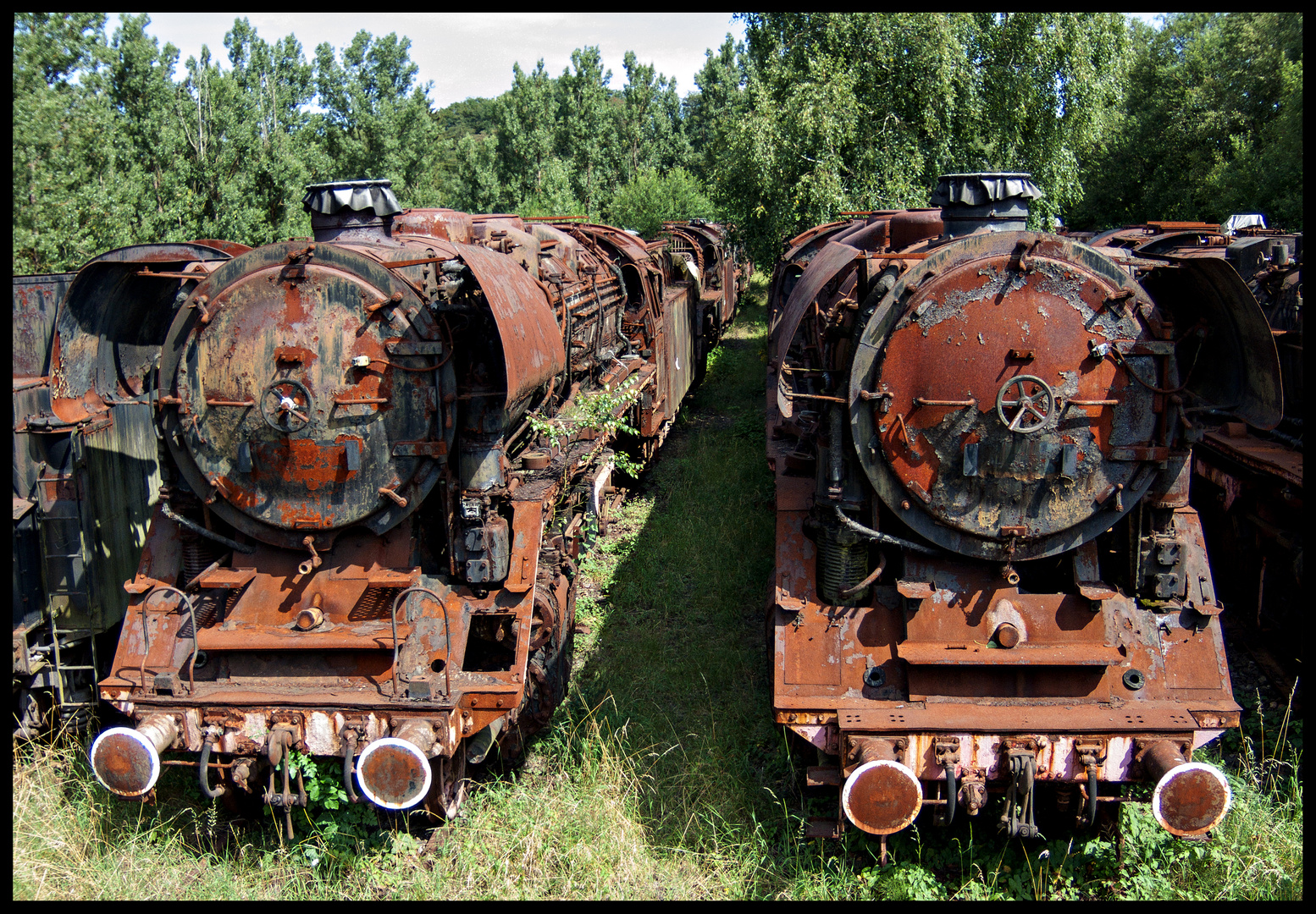 Wald der toten Lokomotiven (I)