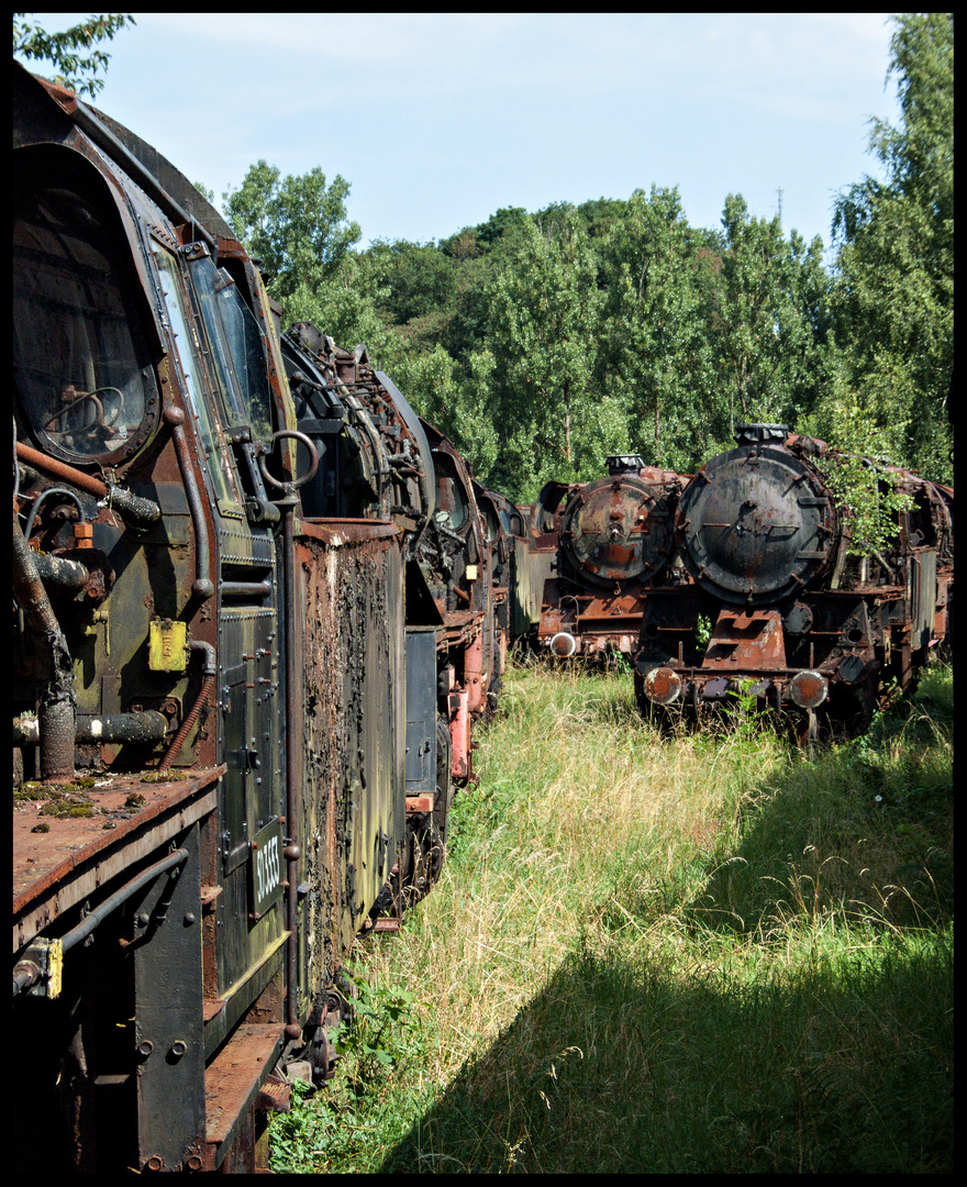 Wald der toten Lokomotiven (II)