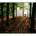 Wald der Zukunft