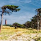 Wald, Dünen und Leuchturm