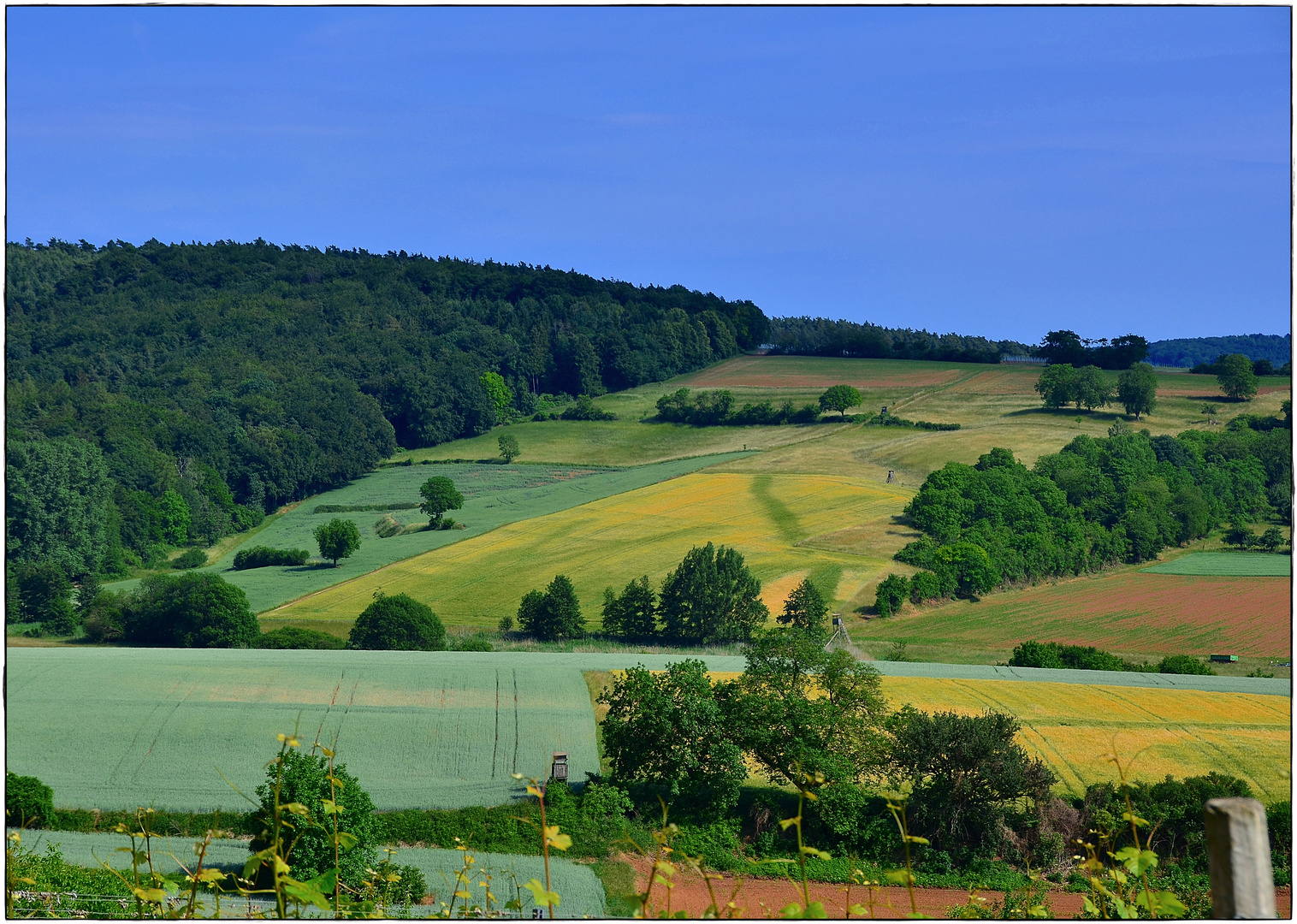 Wald, Feld & Flur