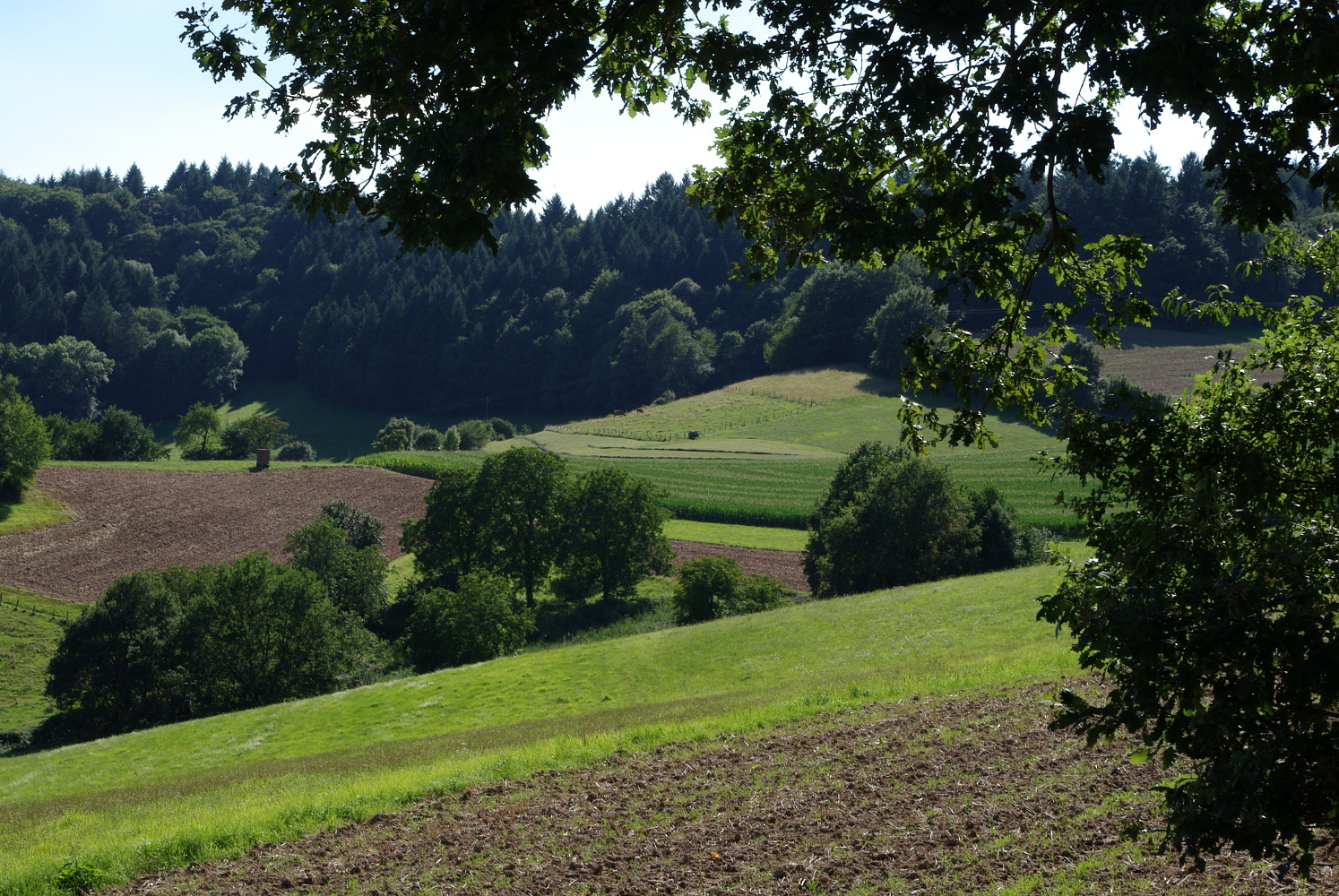 Wald, Feld und Wiese Foto &amp; Bild deutschland, europe, baden
