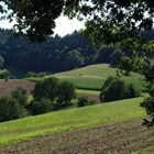 Wald, Feld und Wiese