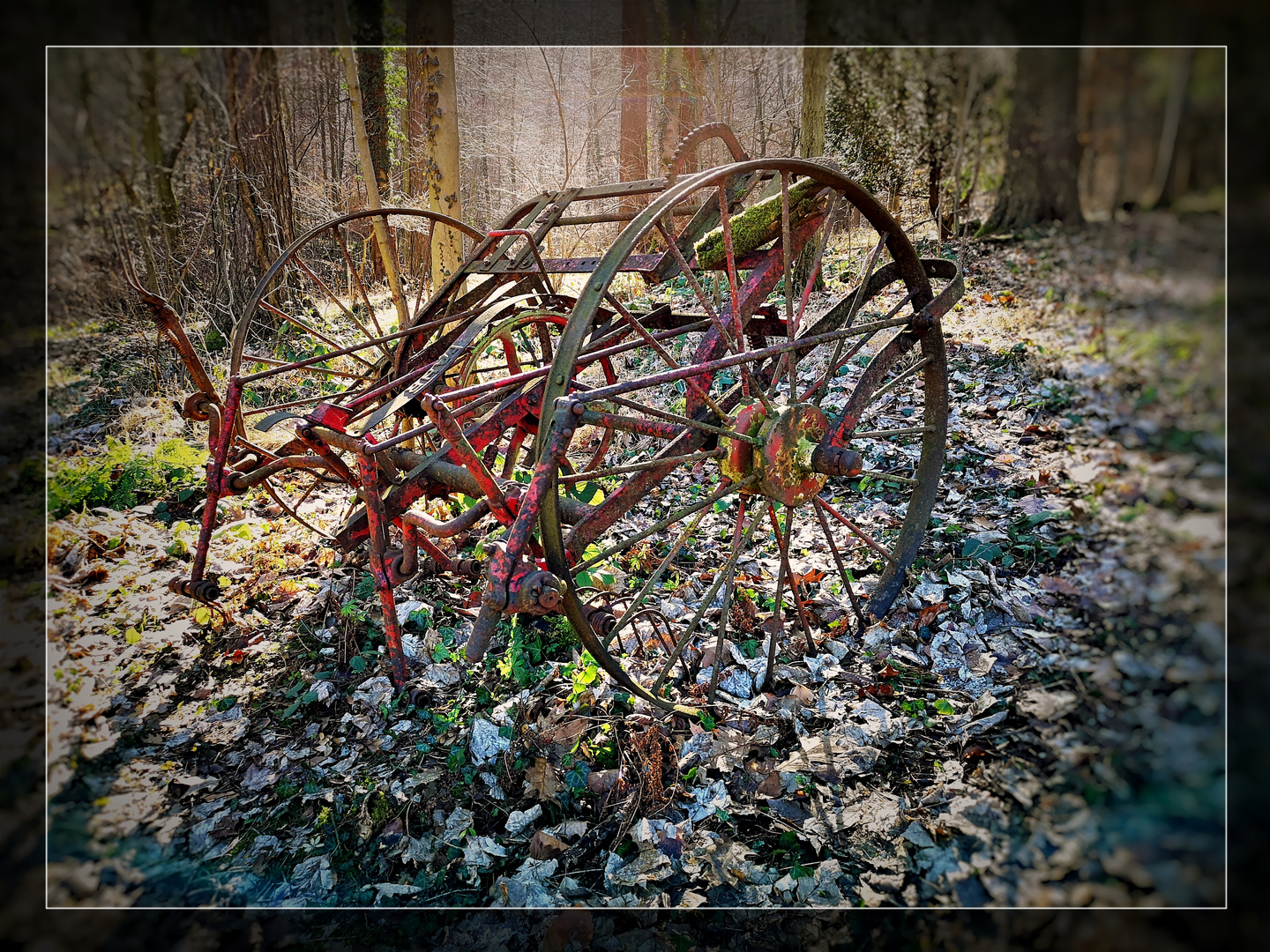 Wald-Fundsache