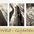 Wald Giganten