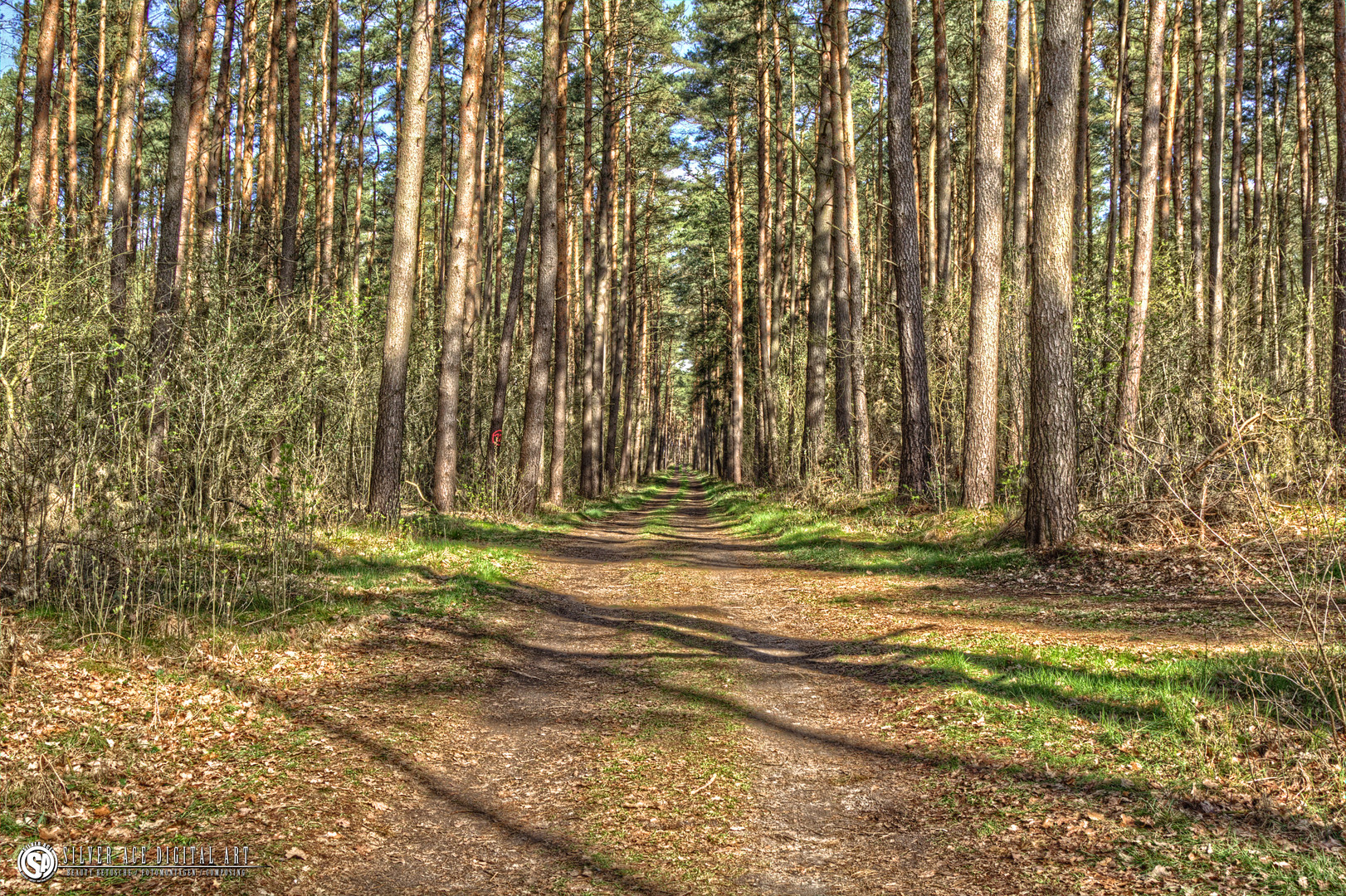 Wald HDR