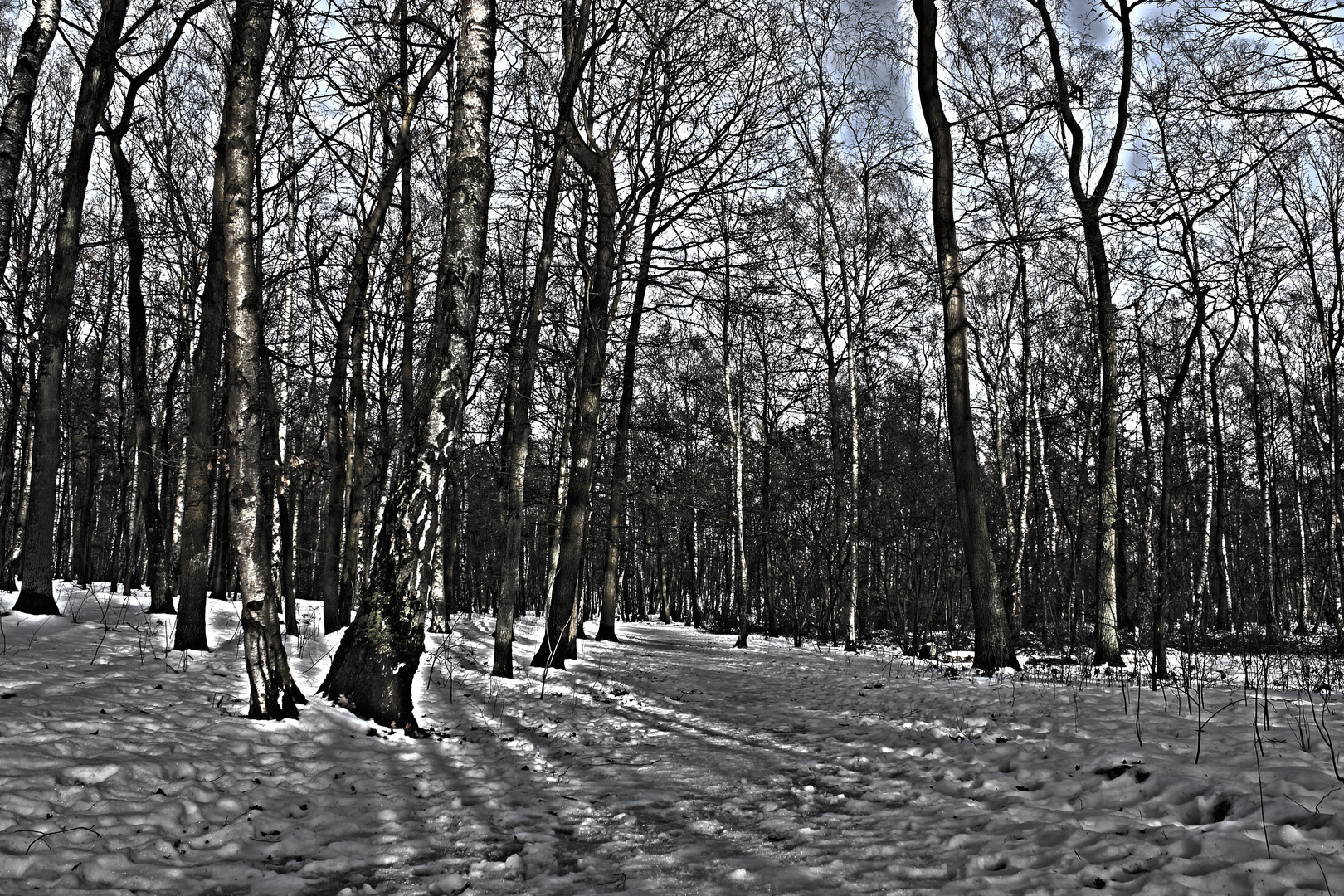 Wald HDR