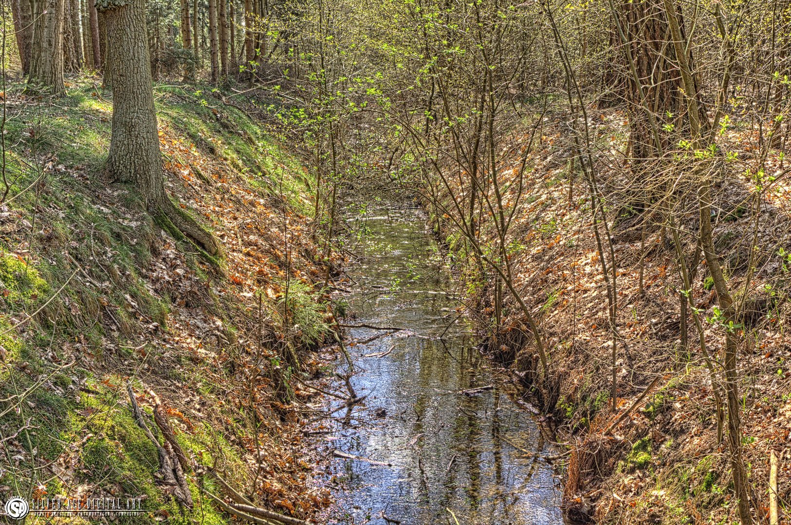 Wald HDR2