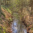 Wald HDR2