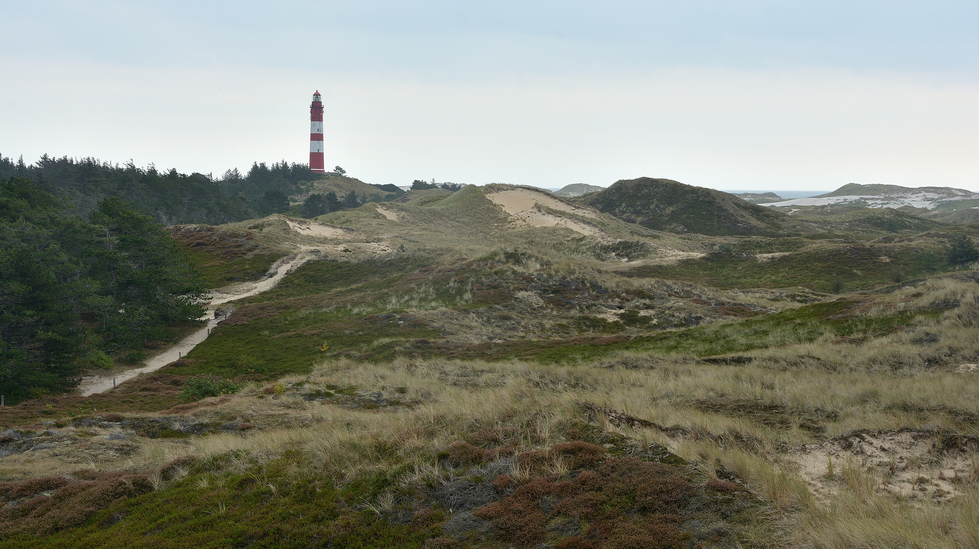 Wald, Heide, Dünen und Leuchtturm