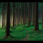 Wald II