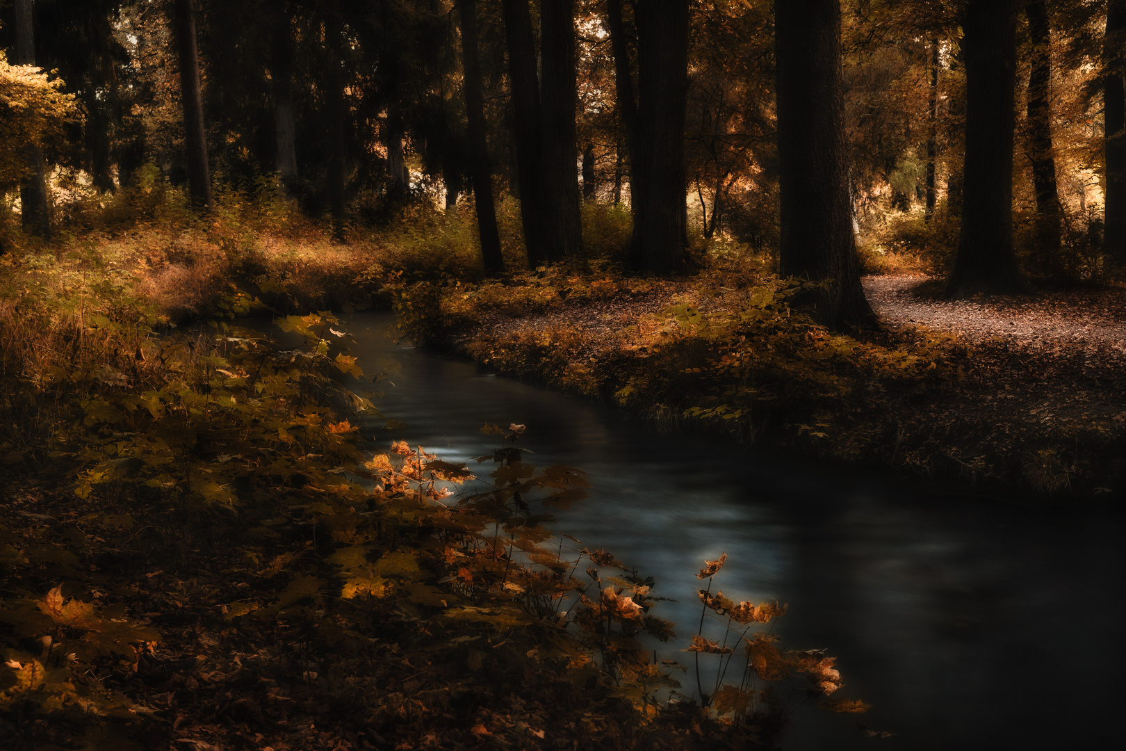 Wald im Abendkleid