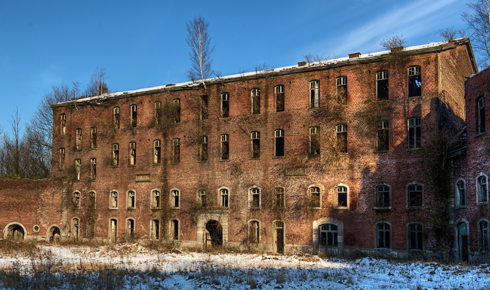 Wald im Haus .... Foto & Bild | architektur, lost places ...